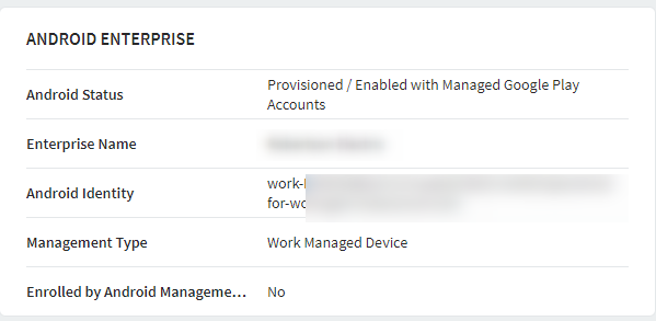 Pixel 6 Endpoint Work Mangaged